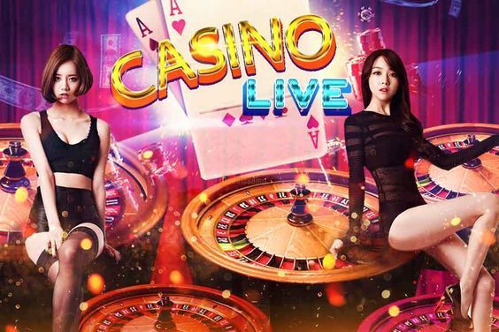 TVBET Live Betting